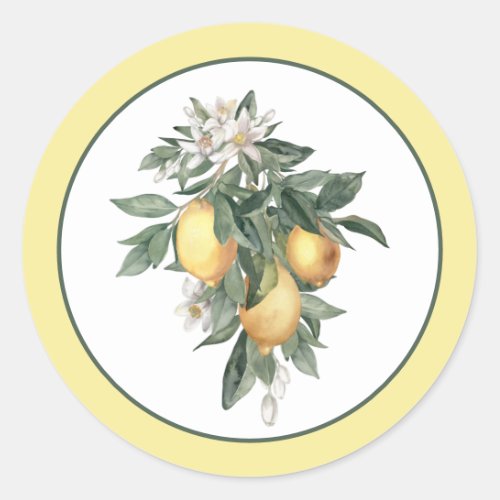 Lemon Fruit Round Classic Sticker