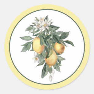 Lemon Fruit Round Classic Sticker