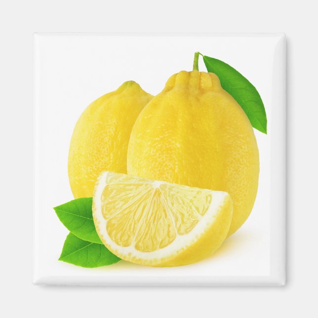 Lemon fruits magnet (Front)