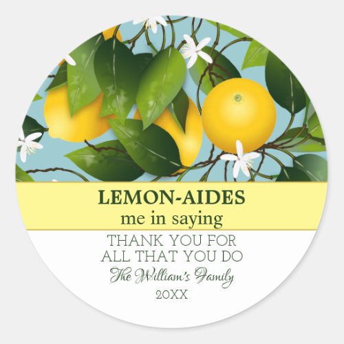 Lemon Funny Thank You Classic Round Sticker