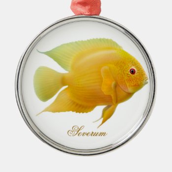 Lemon Gold Severum Aquarium Fish Ornament by ornamentation at Zazzle