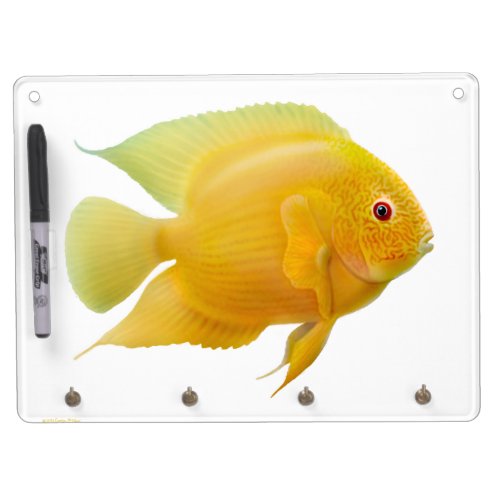 Lemon Gold Severum Cichlid Fish Dry Erase Board