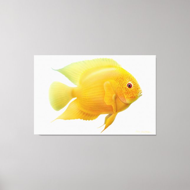 Lemon Gold Severum Cichlid Fish Wrapped Canvas Print (Front)