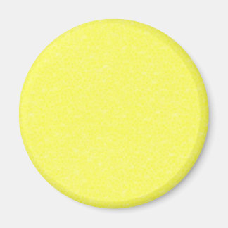 lemon / grapefruit peel magnet