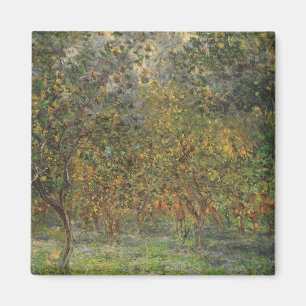 Lemon Grove in Bordighera by Claude Monet Magnet