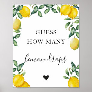 Lemon Guess How Many Game sign
