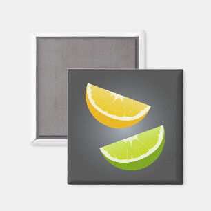 Lemon & Lime Citrus Slice Refrigerator Magnet