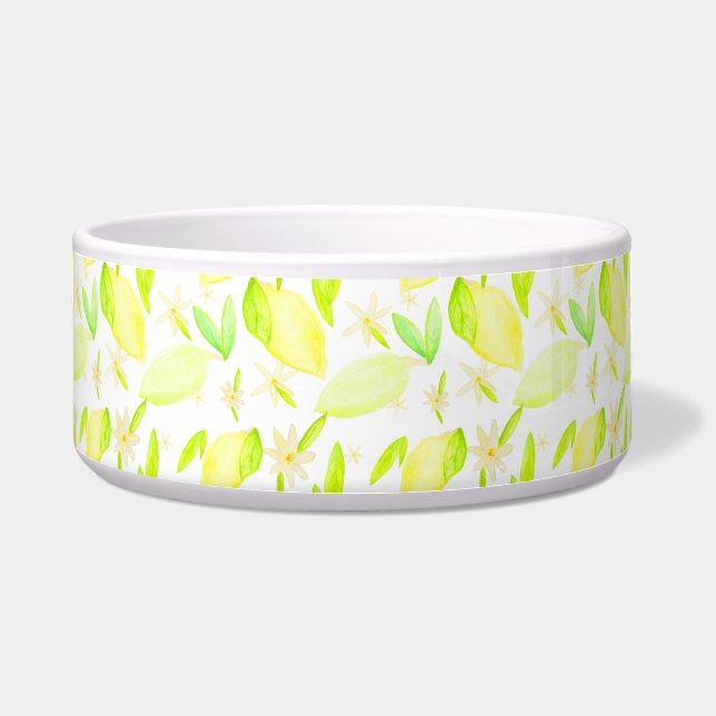 Lemon Lime Lovely Pet Bowl (Front)