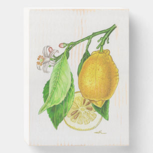 Lemon “Limonier ferraris” Wooden Box Sign