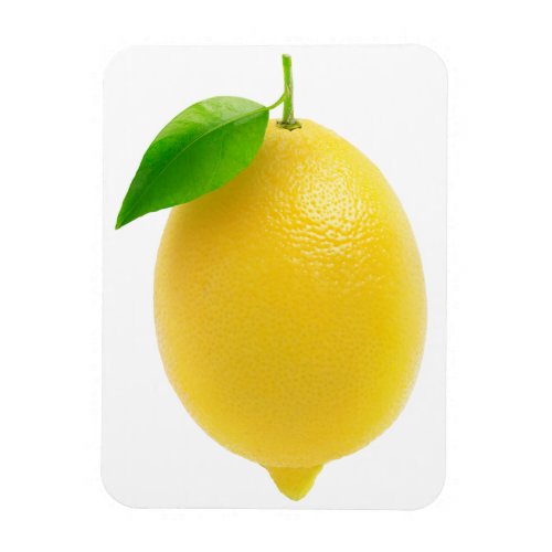 Lemon Magnet