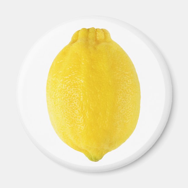 Lemon Magnet (Front)