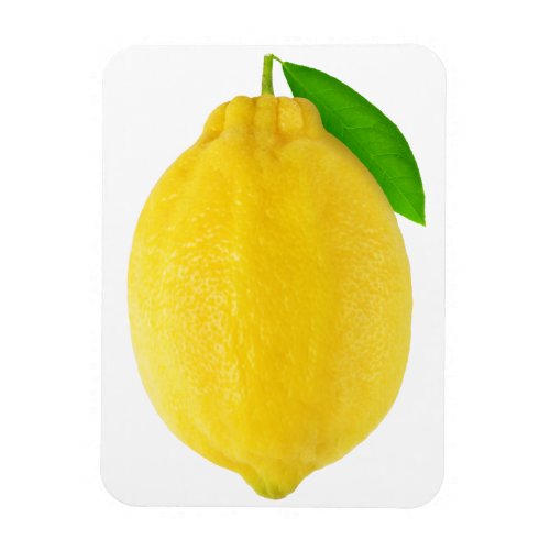 Lemon Magnet