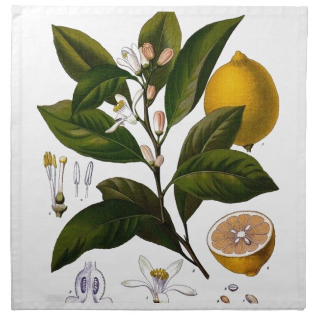 Lemon Napkin (Front)