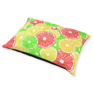 Lemon, orange, grapefruit and lime slices pattern pet bed