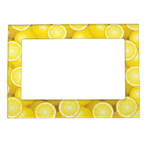 Lemon Pattern 2 Magnetic Frame