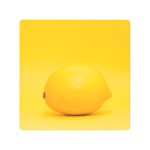 Lemon Photo Cute Design. Buy Now Metal Print