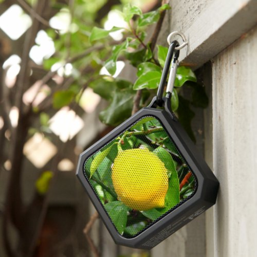 Lemon photo from nature and the garden bluetooth speaker