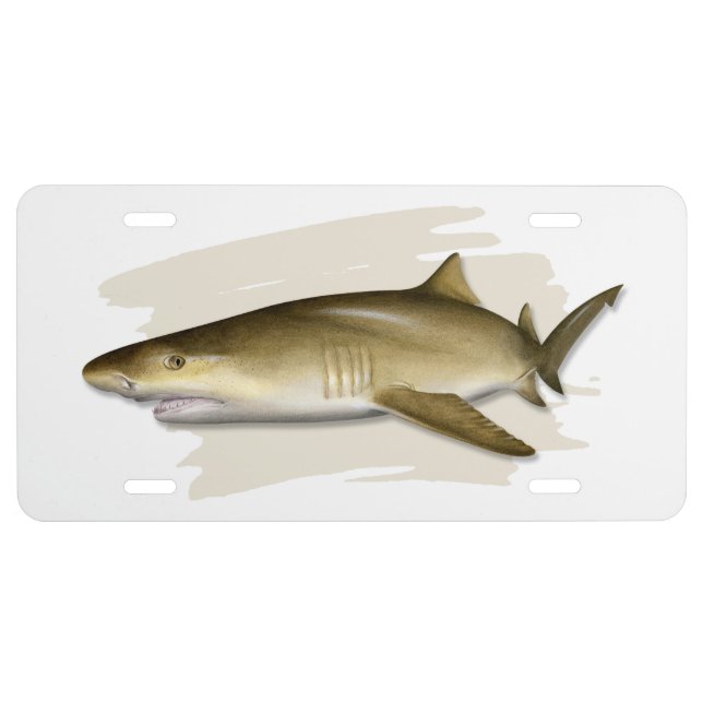 Lemon Shark License Plate (Front)