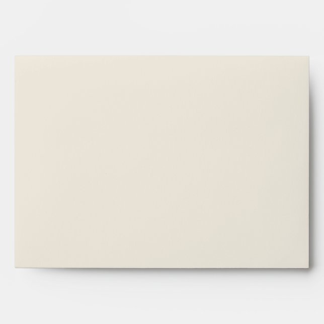 Lemon Slice A7 Greeting Card Envelope (Front)