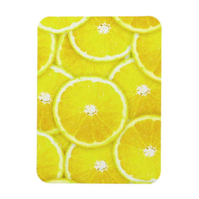 Lemon slices magnet (Vertical)