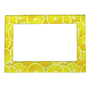Lemon slices magnetic frame
