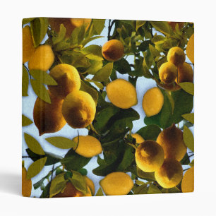 Lemon Tree Pattern 3 Ring Binder
