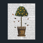 Lemon Tree Postcard<br><div class="desc">Children's</div>