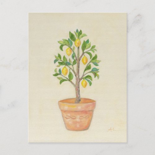 Lemon Tree postcard