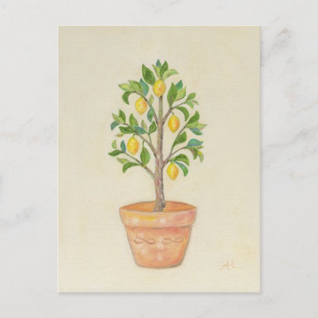 Lemon Tree postcard (Front)