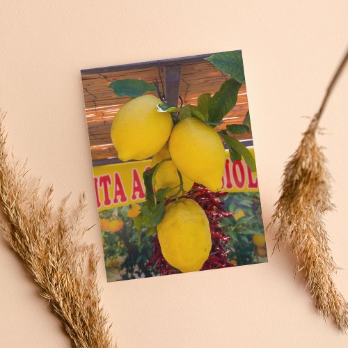 Lemon Vine In Positano Italy Postcard