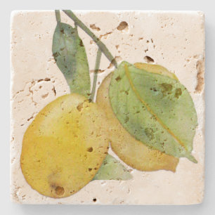 Lemon-water ponds stone coaster