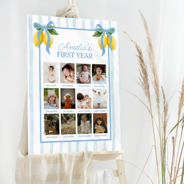 Lemon Whimsical Blue Girls 1st Year Birthday Chart Foam Board (Creator Uploaded)