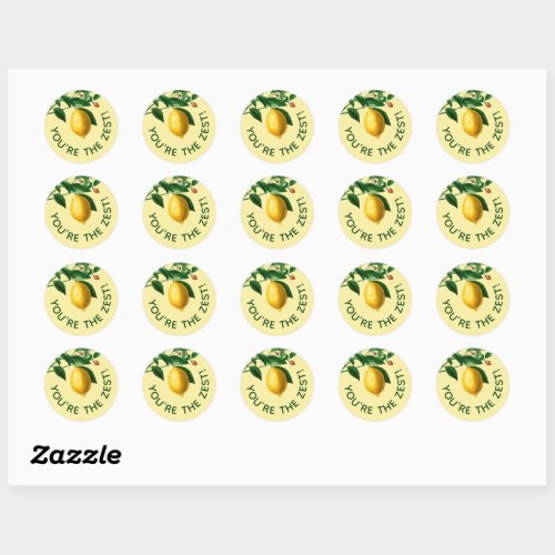 Lemon Youre The Zest Customer Appreciation Classic Round Sticker