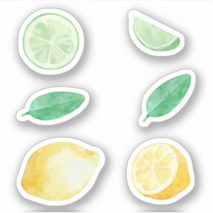 Lemonade lemon and green limes watercolor set sticker