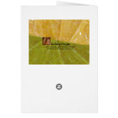 LemonLimed... Cards (Back)