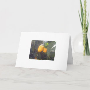 Lemons? Card