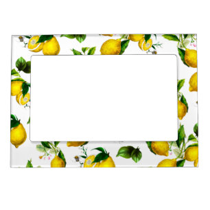Lemons,citrus,mediterranean art    magnetic frame