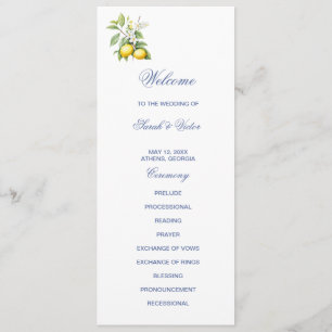 Lemons Double Sided Flat Program