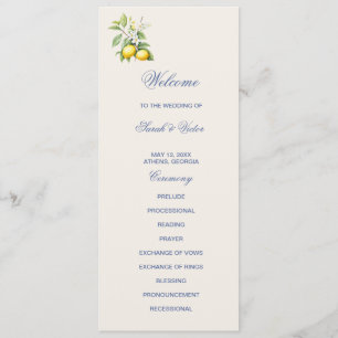 Lemons Double Sided Flat Program