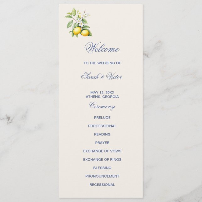 Lemons Double Sided Flat Program (Front)