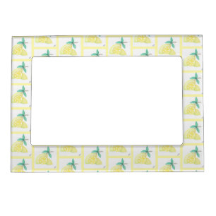 Lemons Magnetic Frame