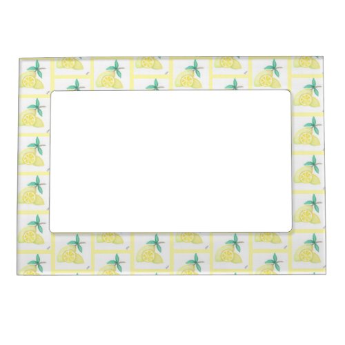 Lemons Magnetic Frame