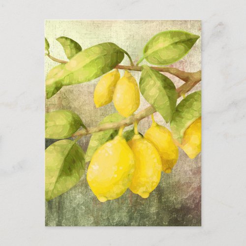 Lemons Painting   Postcard