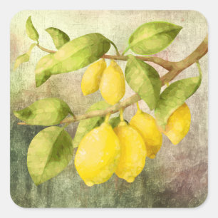 Lemons Painting Square Sticker