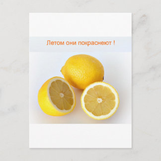 Lemons Postcard