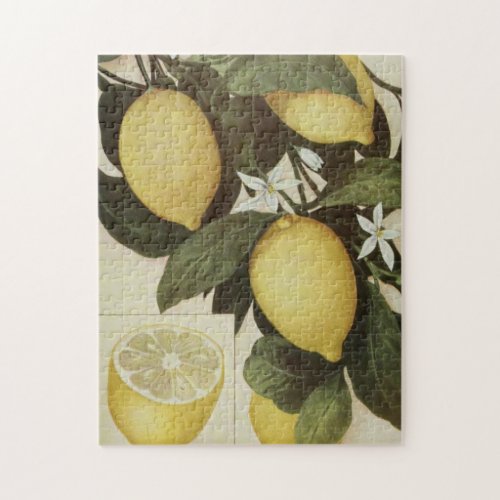 Lemons puzzle