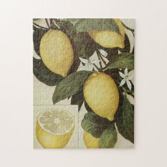 Lemons puzzle (Vertical)