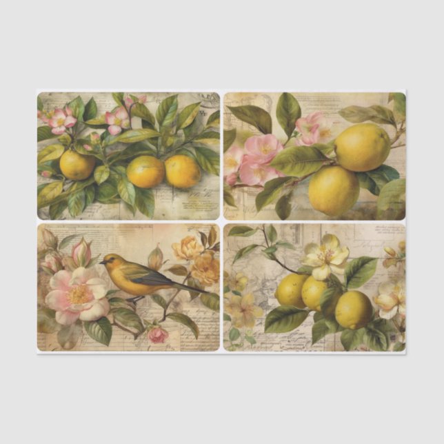 Lemons Tissue Paper (Front)