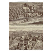 Lemoore, Armona ranches (Front)