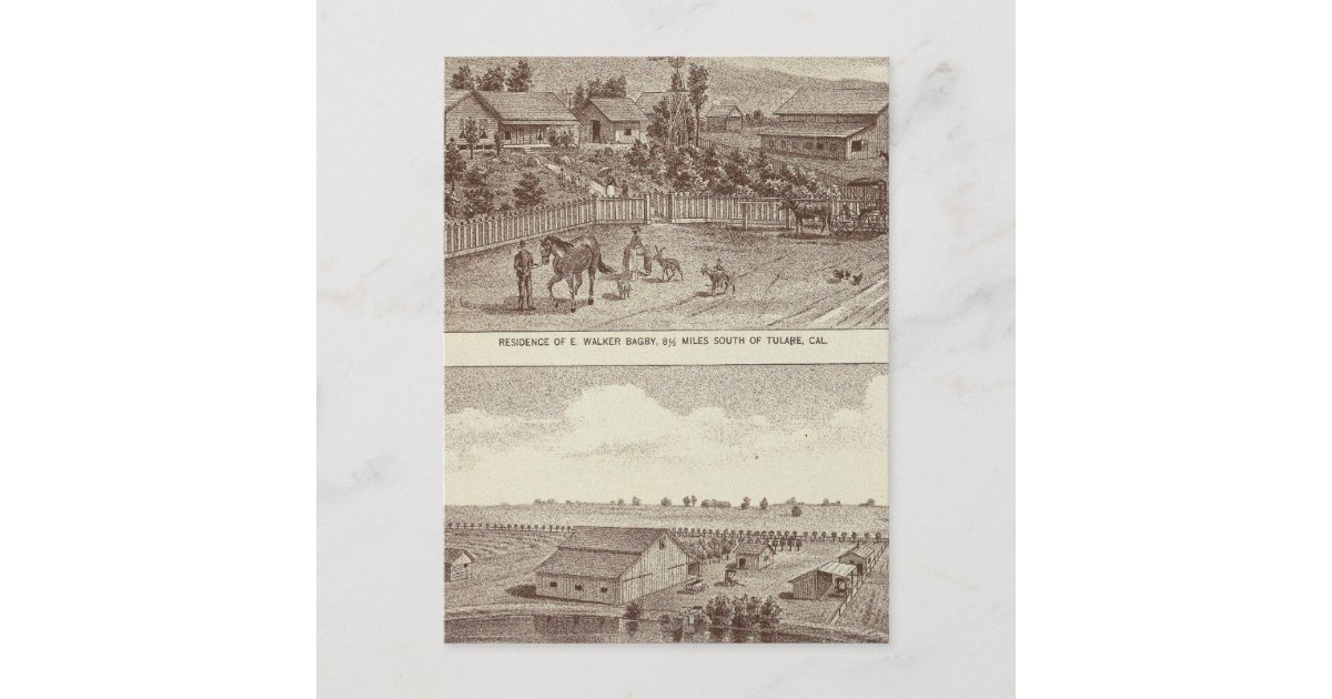 Lemoore, Armona ranches 2 Postcard Zazzle